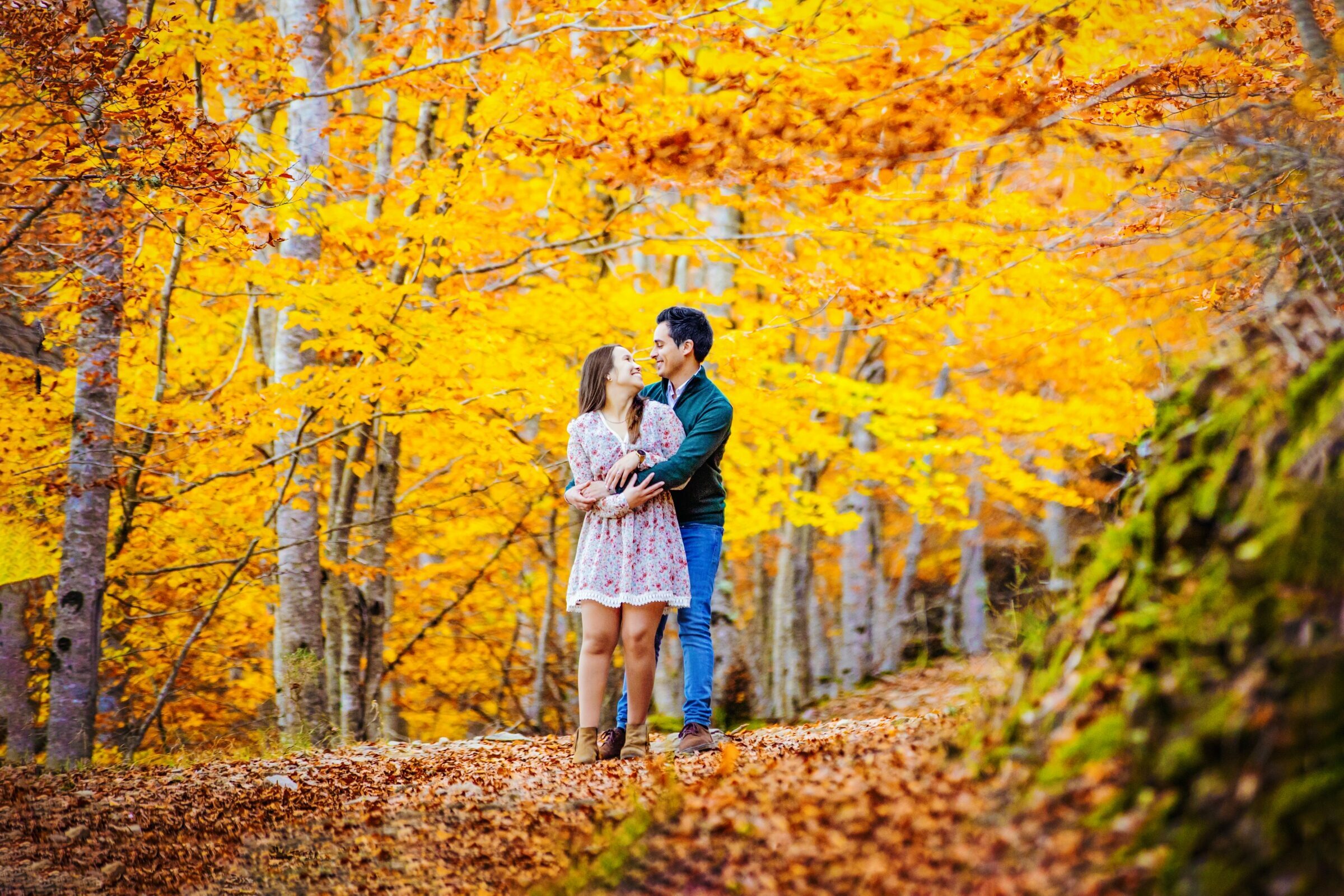 Foto de Paulo Oliveira Fotografia 10