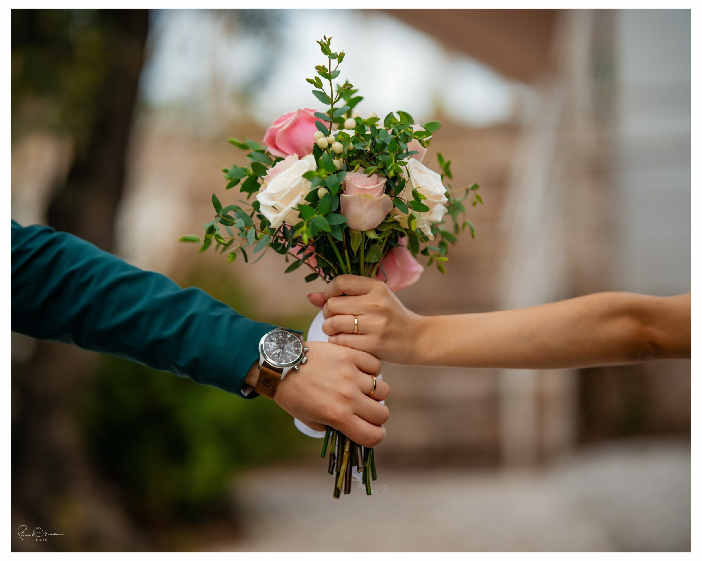 Foto de Paulo Oliveira Fotografia 2