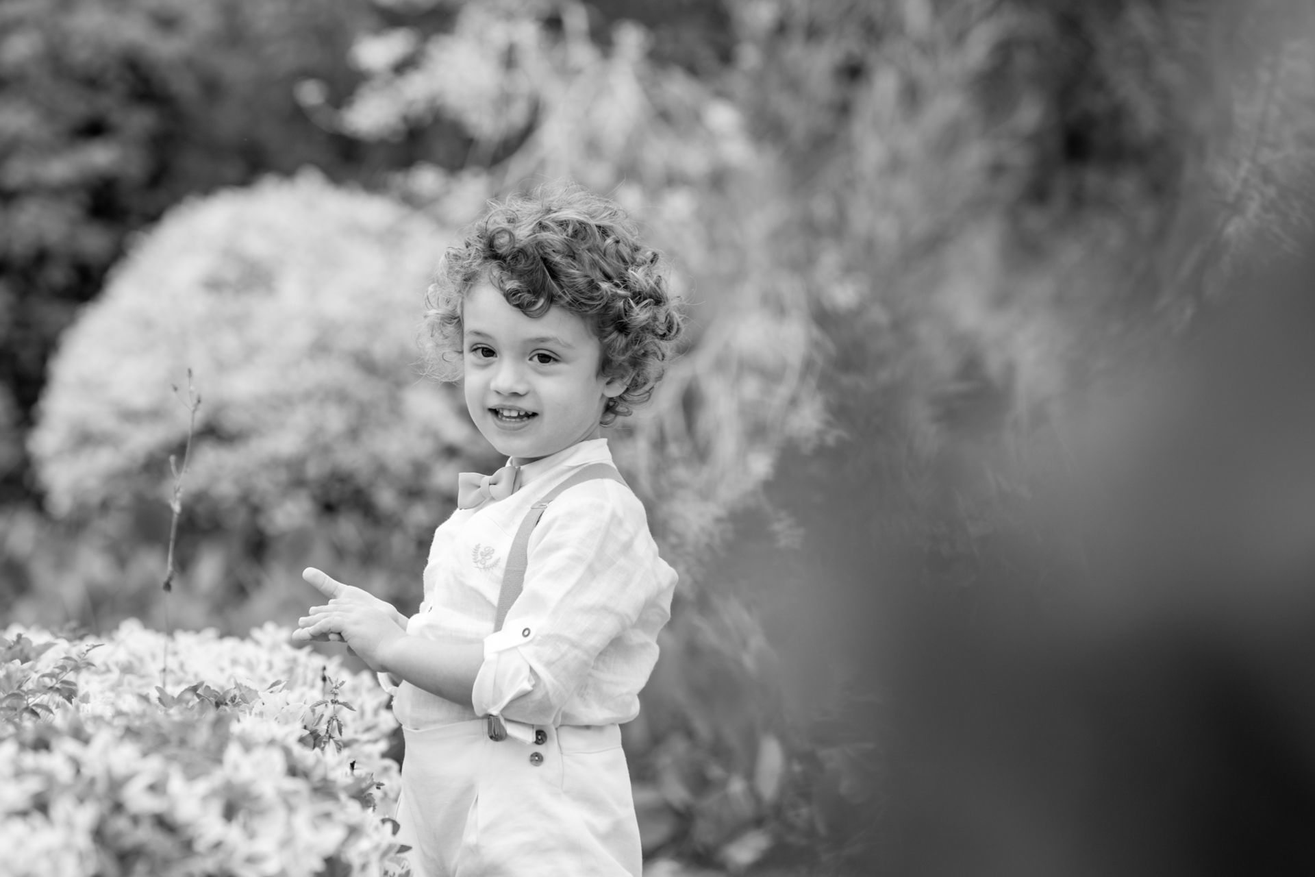 Foto Francisco - Imagem 5