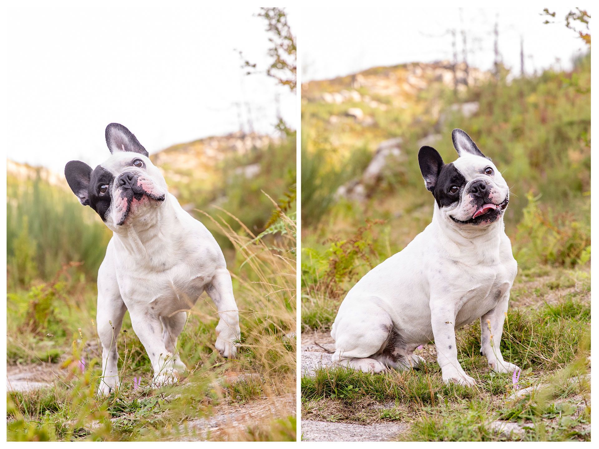 Foto Cláudia & Cesar ❤️ - Imagem 0