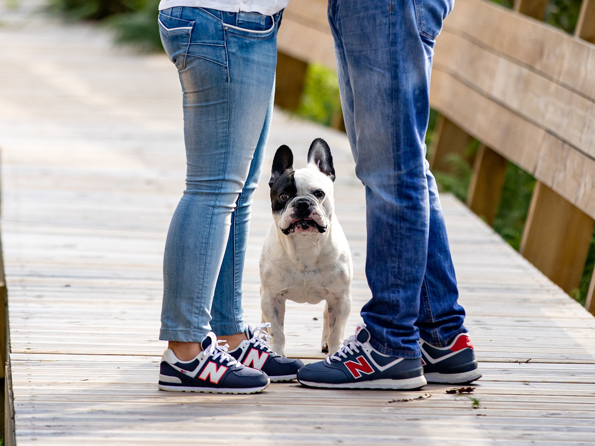 Foto Cláudia & Cesar ❤️ - Imagem 2