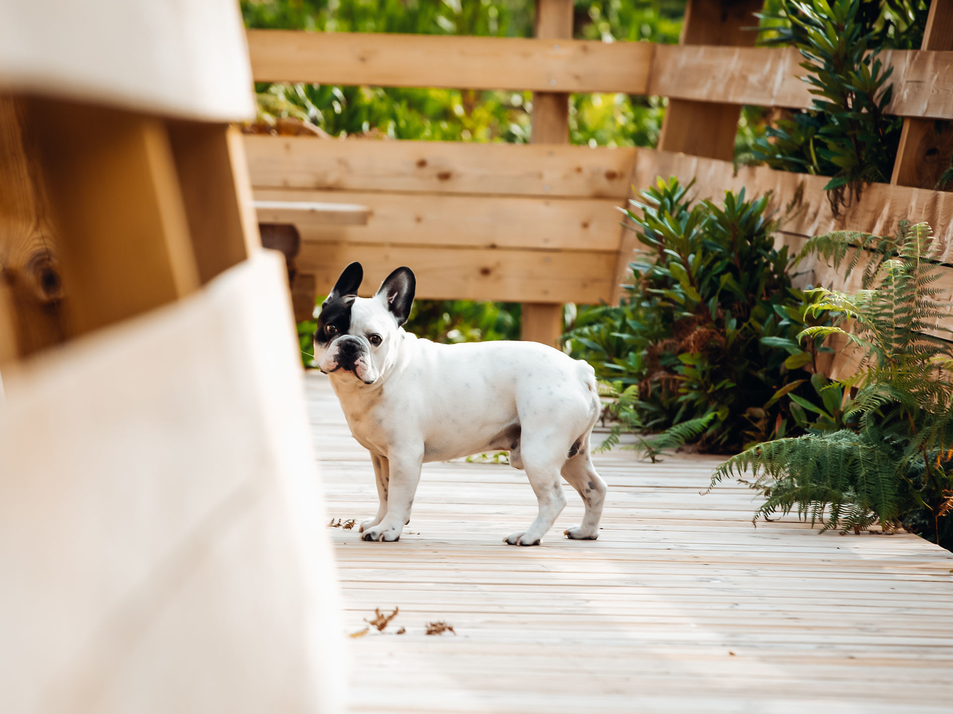 Foto Cláudia & Cesar ❤️ - Imagem 4