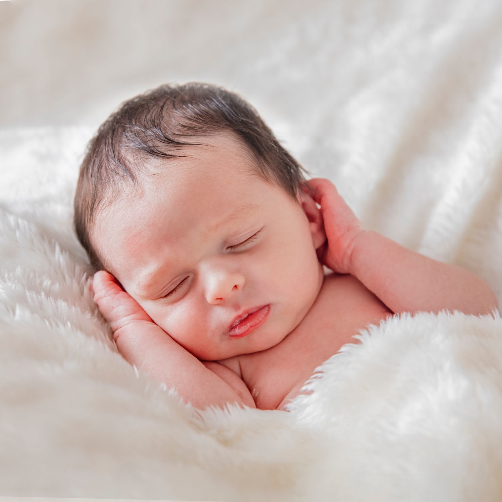 Foto Henrique - Imagem 5