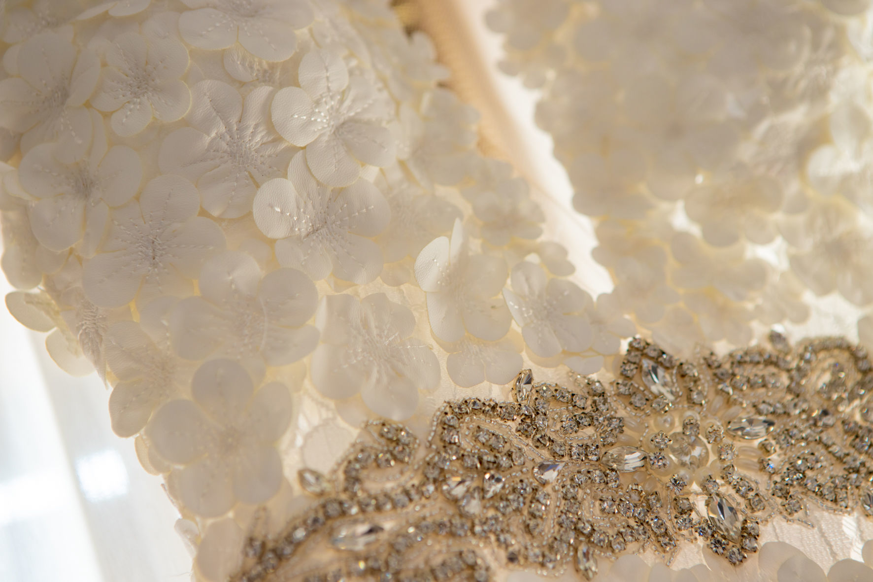 Foto Carla e Kim Zé  - Imagem 6