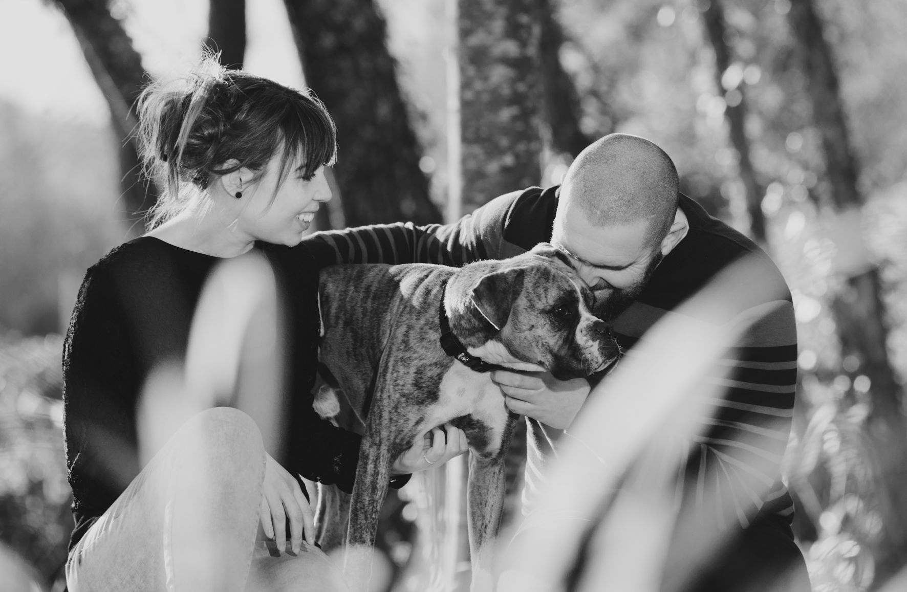 Foto O Alfa  - Imagem 4