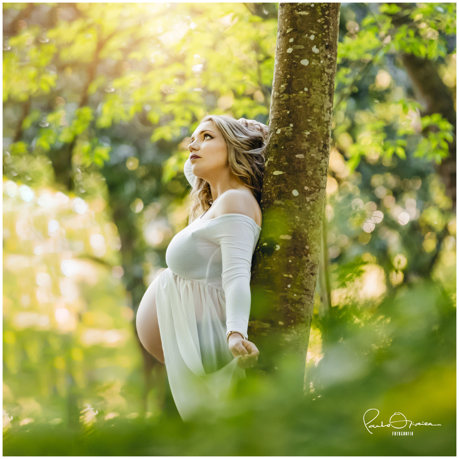 Foto Elisabete & Moises  - Imagem 11