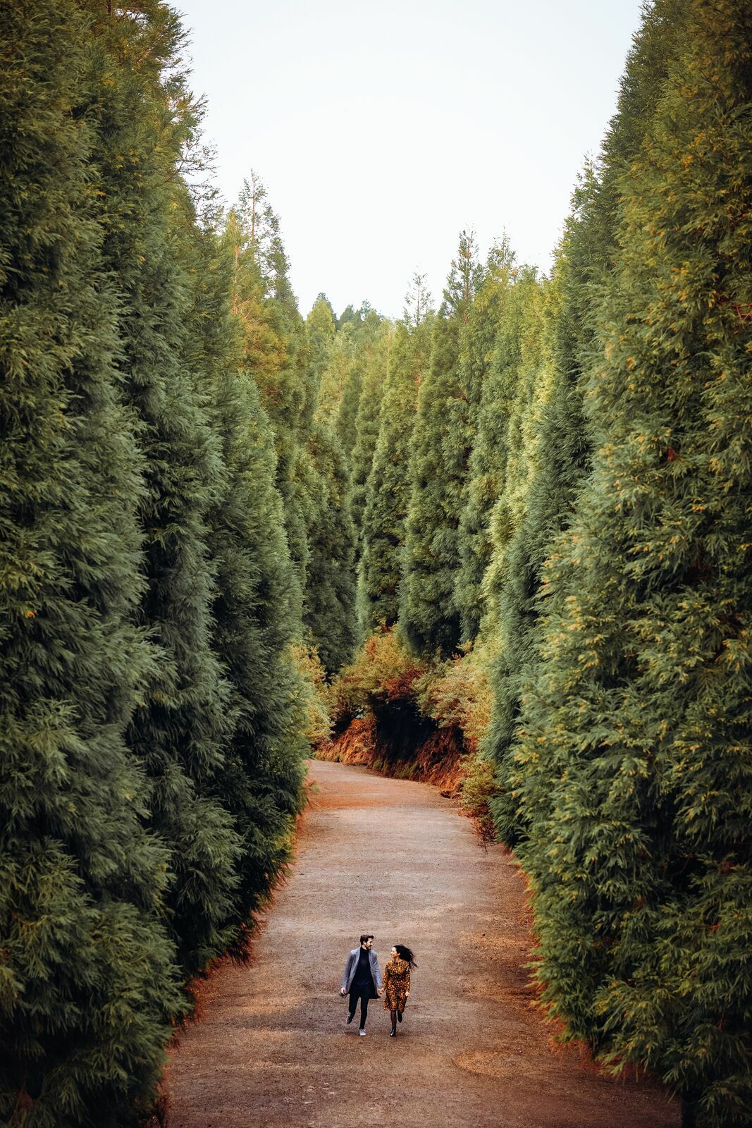 Foto Lisandra & Rodrigo  - Imagem 5