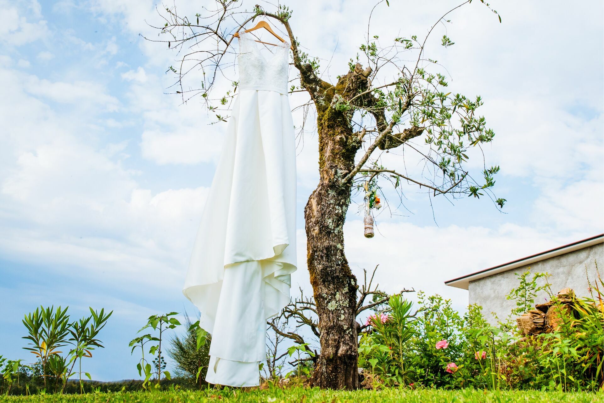 Foto Sandra & João - Imagem 2