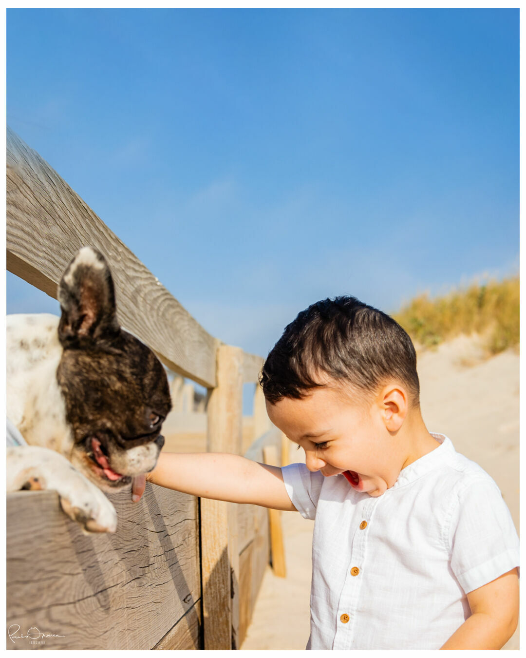 Foto Margarida & Cláudio - Imagem 4