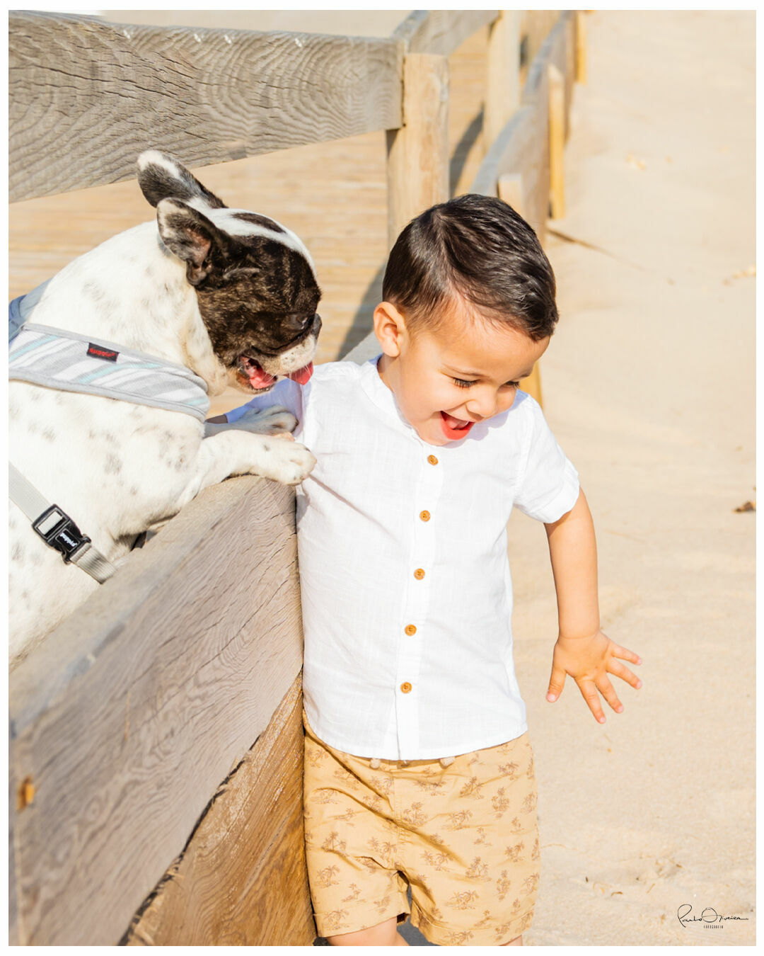 Foto Margarida & Cláudio - Imagem 5