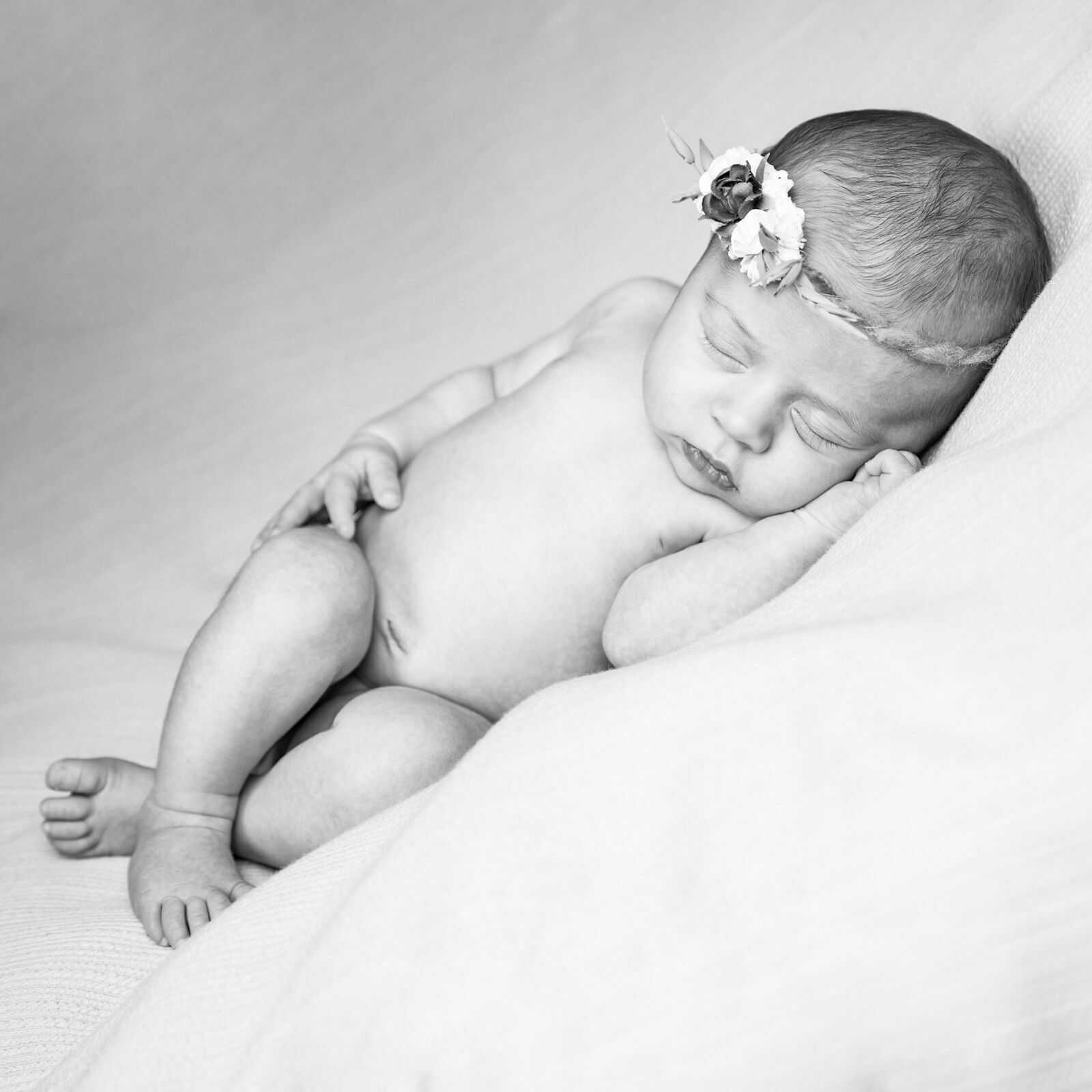 Foto Alice - Imagem 0