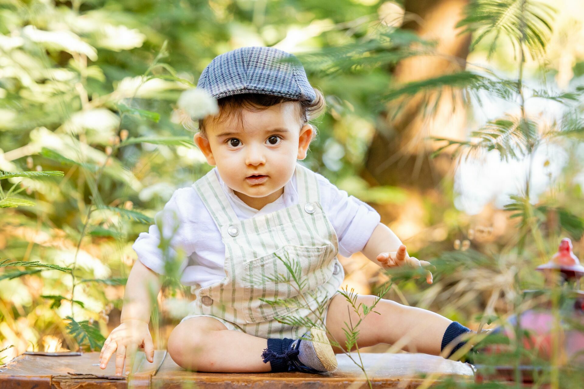 Foto Guilherme - Imagem 5