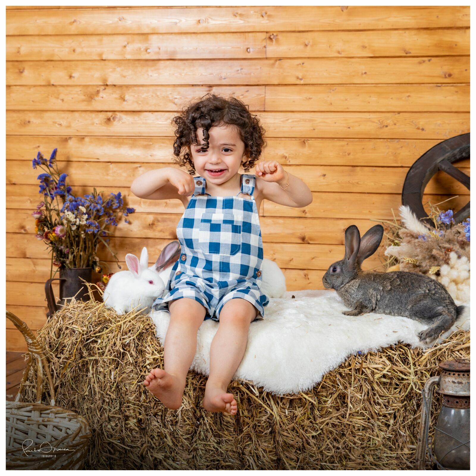 Foto Páscoa 2023 - Imagem 10