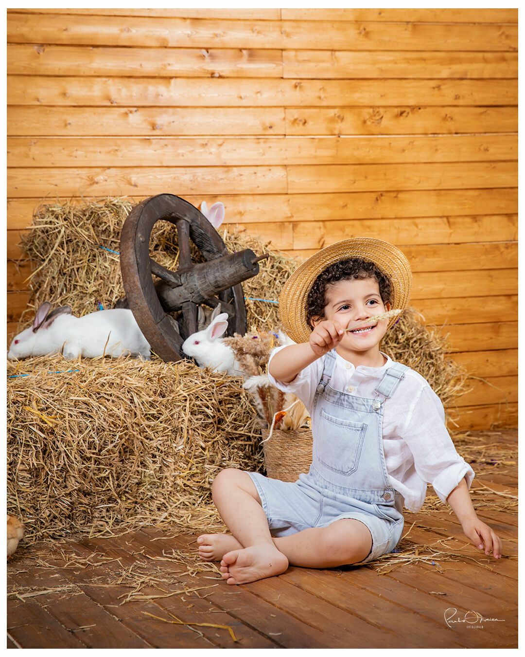 Foto Páscoa 2023 - Imagem 12