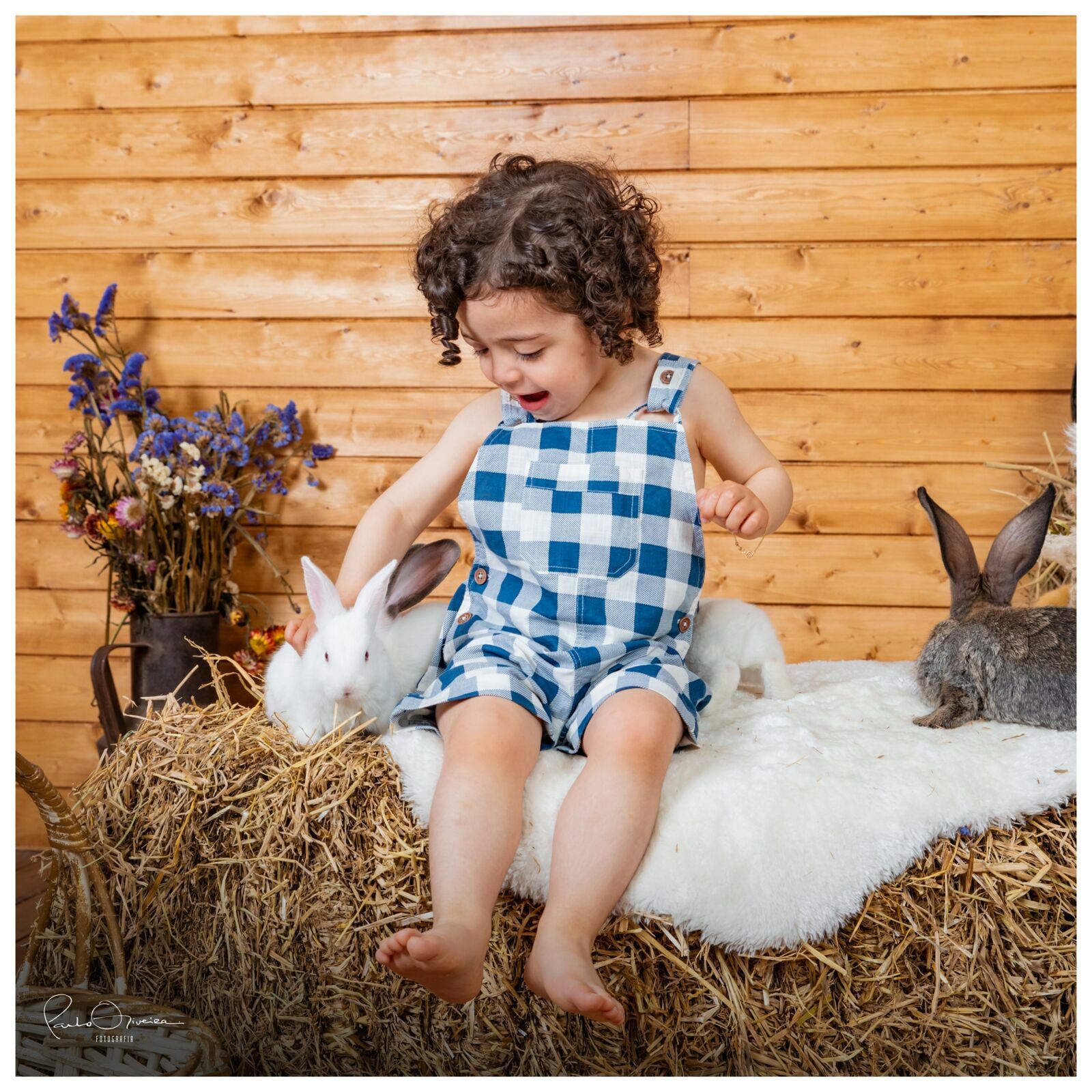 Foto Páscoa 2023 - Imagem 9
