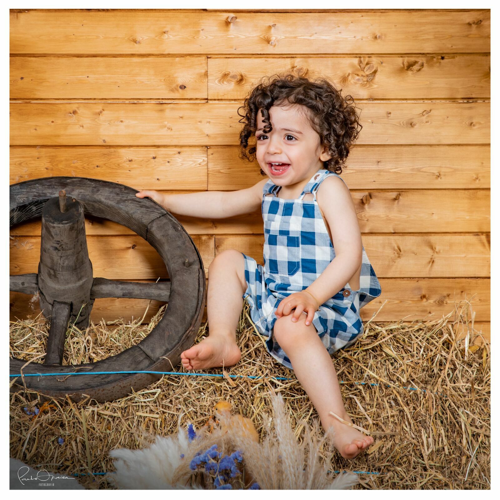 Foto Páscoa 2023 - Imagem 11