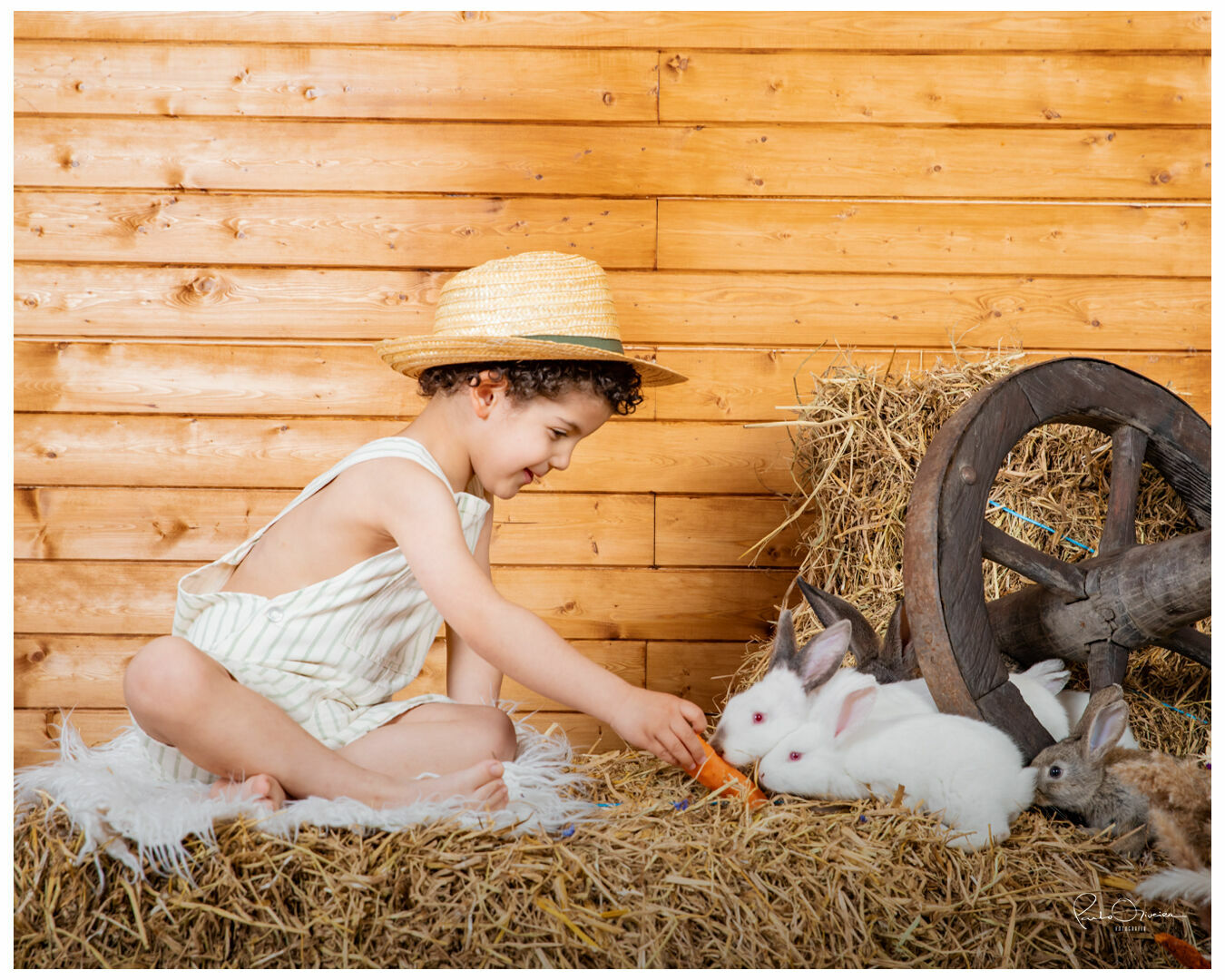 Foto Páscoa 2023 - Imagem 14