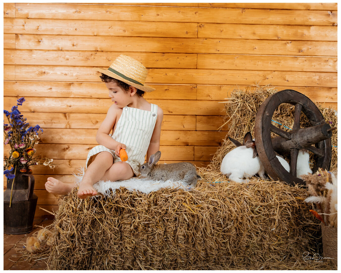 Foto Páscoa 2023 - Imagem 16