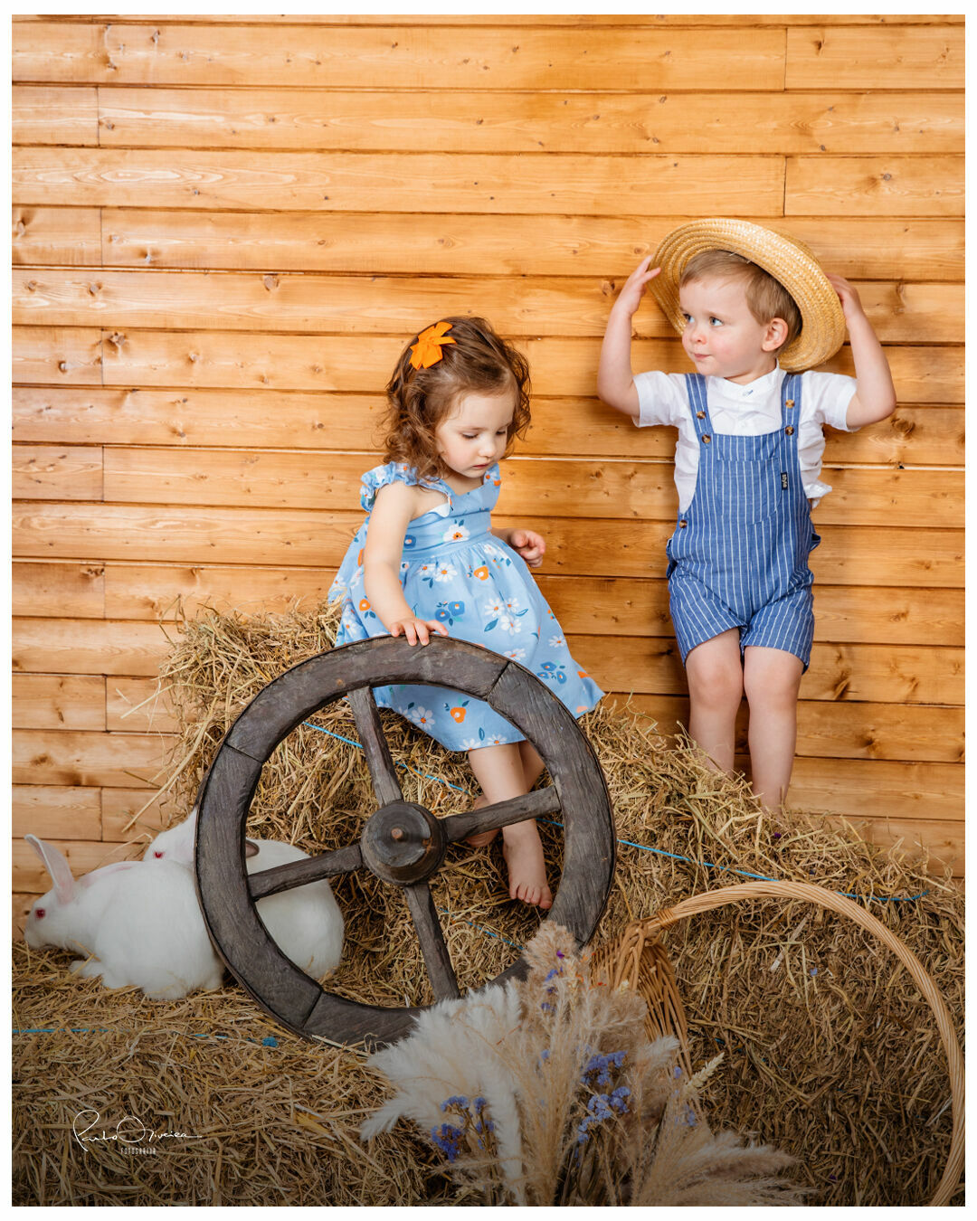 Foto Páscoa 2023 - Imagem 5