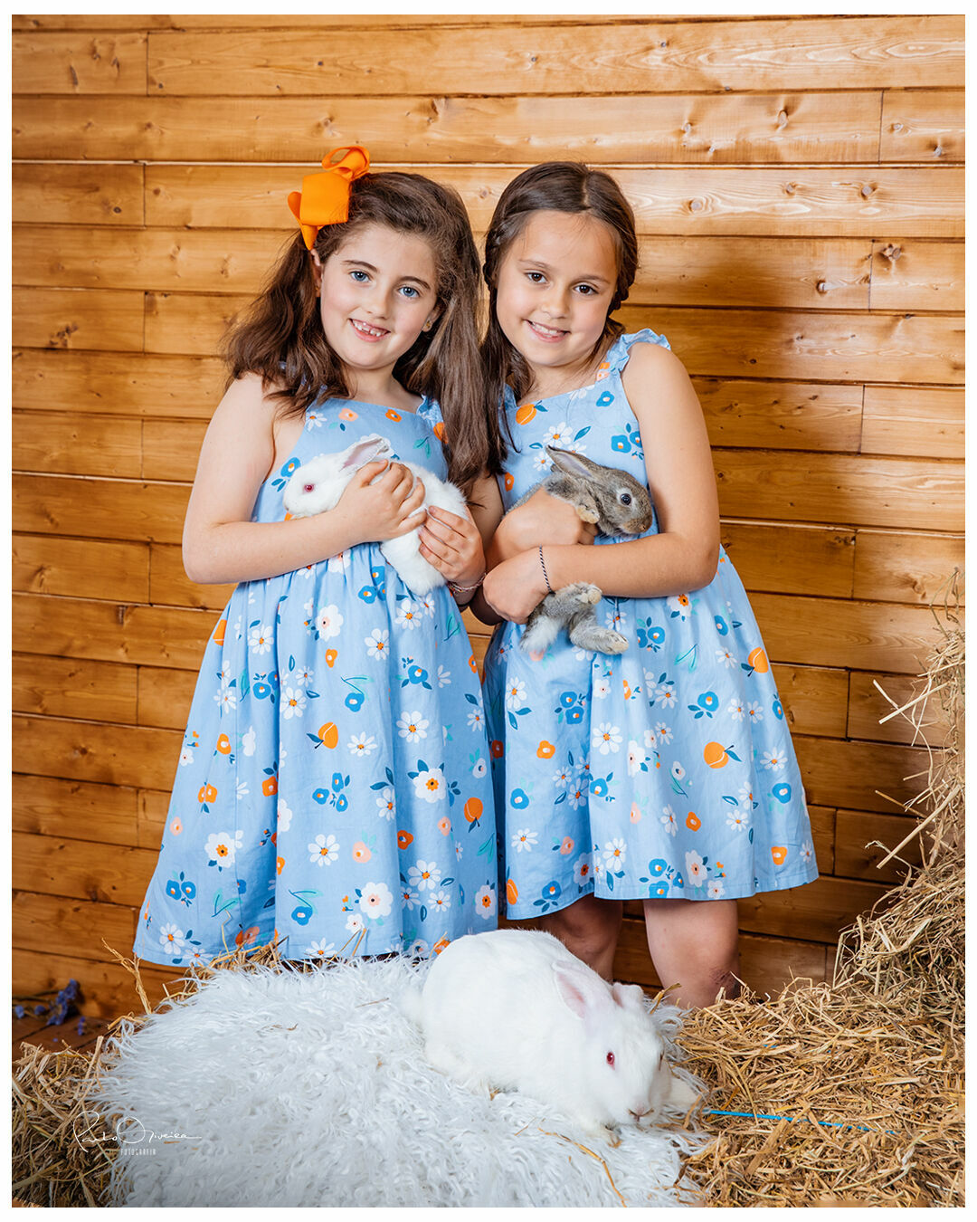 Foto Páscoa 2023 - Imagem 4