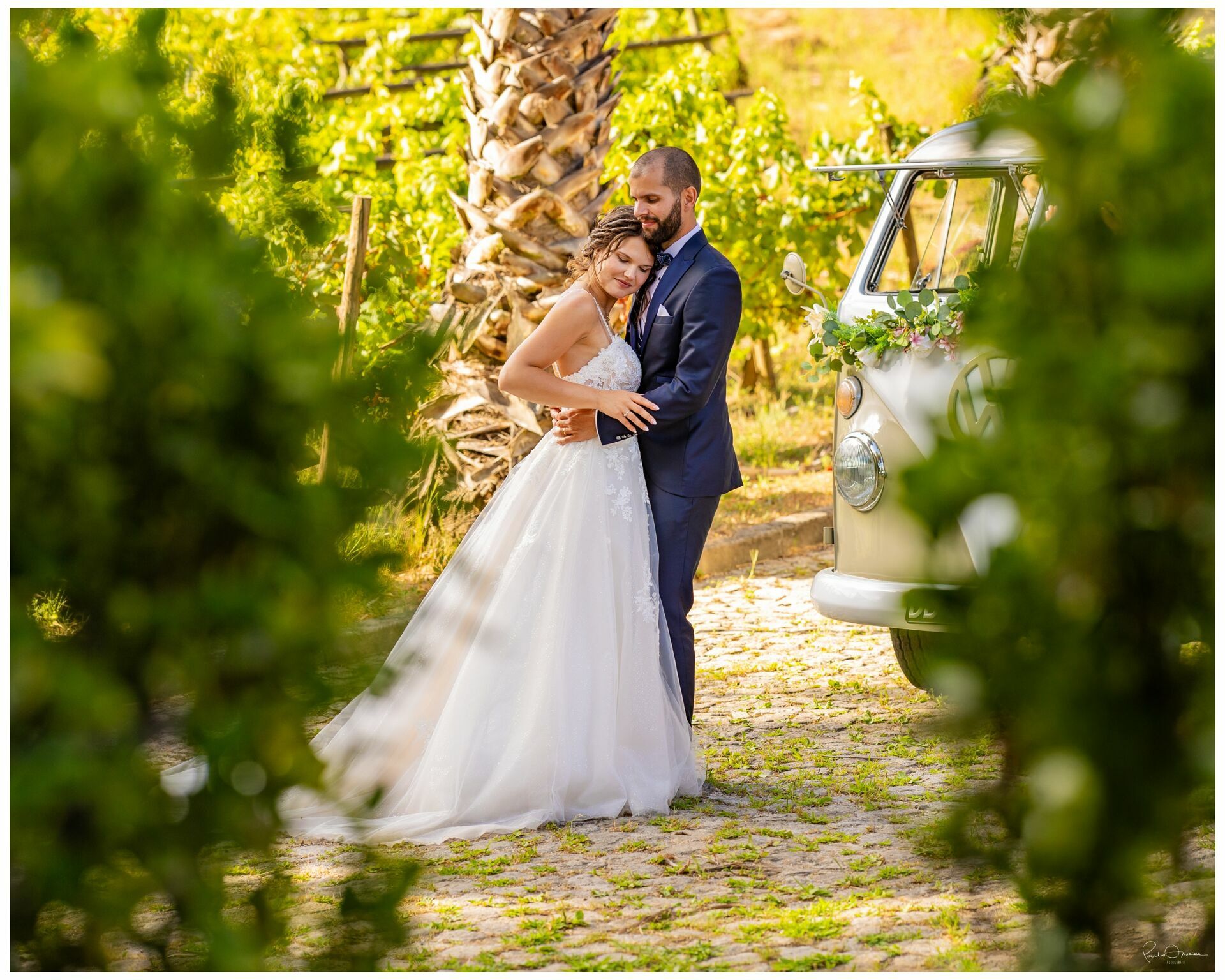 Foto SARA E SIMÃO - Imagem 0